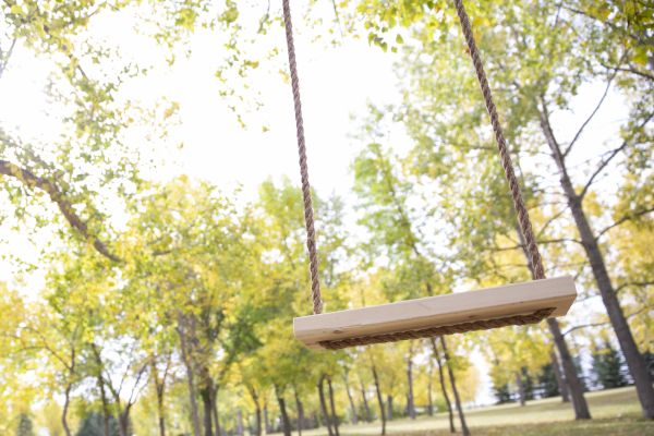 Tree Swing Installation