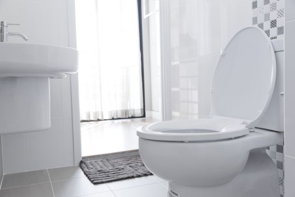 Cost of Toilet Seat Installation in Greeley