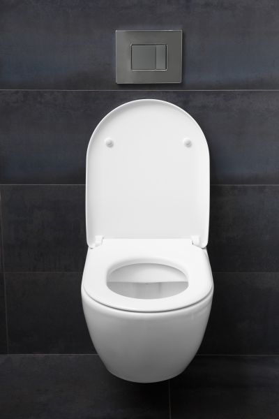 Cost of Toilet Lid Installation in Greeley