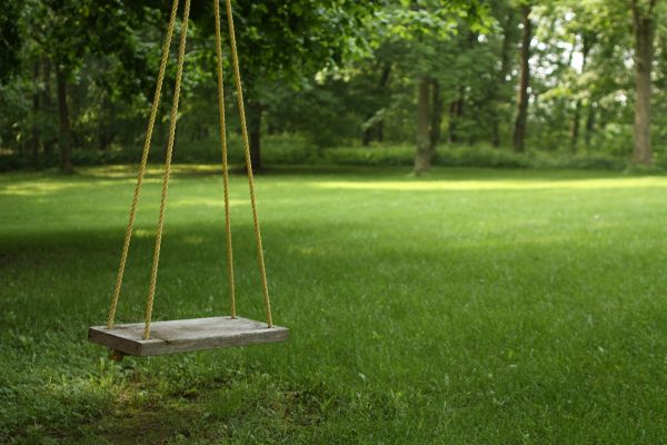Rope Swing Installation Service