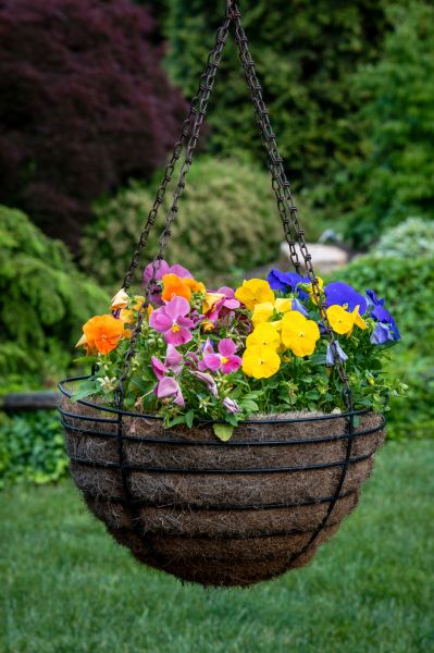 Cost of Hanging Basket Installation in Greeley