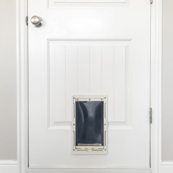 Cost of Pet Door Repair in Greeley