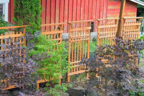 Wood Trellis Mounting in Greeley