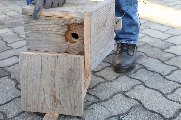 Cost of Birdhouse Mounting in Greeley